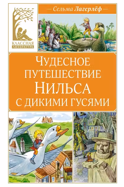 Чудесное путешествие Нильса с дикими гусями