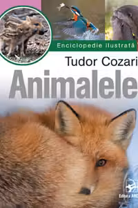 Animalele Enciclopedie ilustrata vol 2