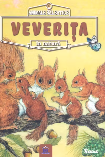 Animale sălbatice în natură: Veverița