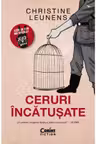 Ceruri incatusate