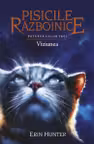 Viziunea