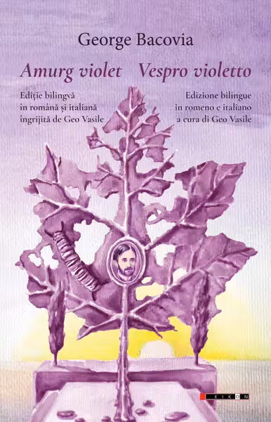 Amurg violet. Vespro violetto