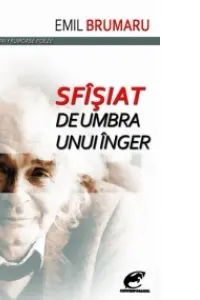 Sfîsiat de umbra unui inger