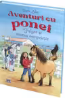 Fulger si marea competitie