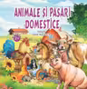 Animale si pasari domestice