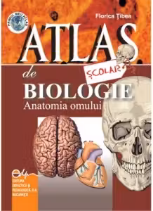 Atlas scolar de biologie - Anatomia omului