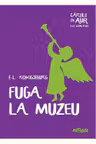 Fuga la muzeu