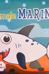 Animale marine