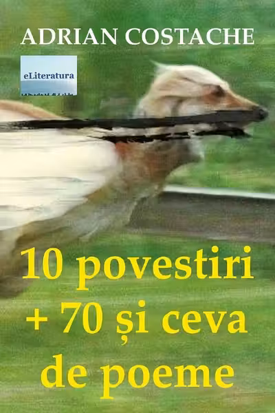 10 povestiri + 70 și ceva de poeme