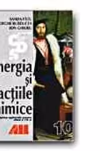ENERGIA SI REACTIILE CHIMICE. DISCIPLINA OPTIONALA PENTRU CLASA a X-a