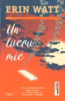 Un lucru mic