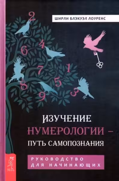 Изучение нумерологии - путь самопознания. Руководство для начинающих