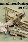 Cum sa construiesti un avion