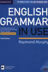 English Grammar in Use
