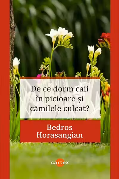 De ce dorm caii in picioare si camilele culcat?
