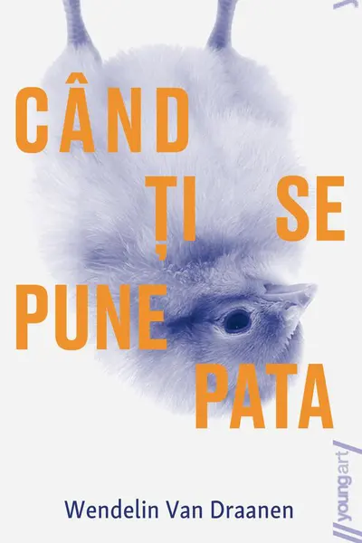 Cand ti se pune pata