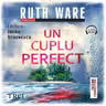 Un cuplu perfect (audiobook)