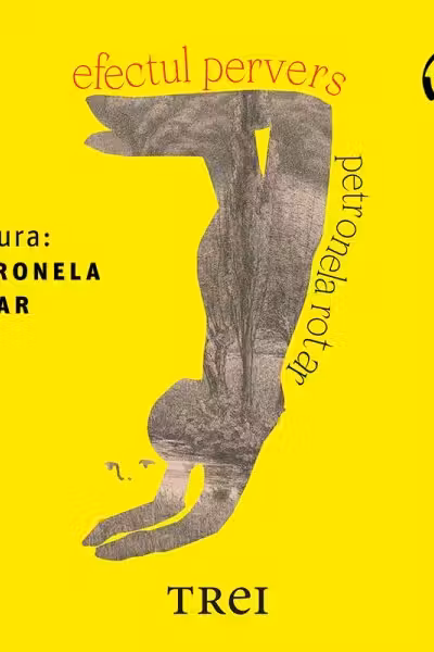 Efectul pervers (audiobook)