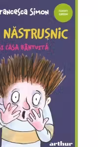 Nic Nastrusnic si casa bantuita