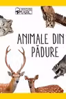 Animale din padure . White Star