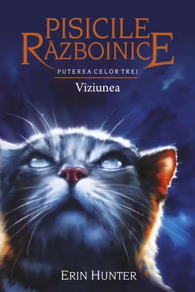 Viziunea