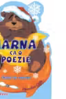 Iarna ca o poezie