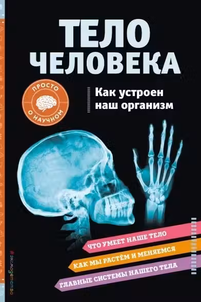 Тело чеовека. Как устроен наш организм