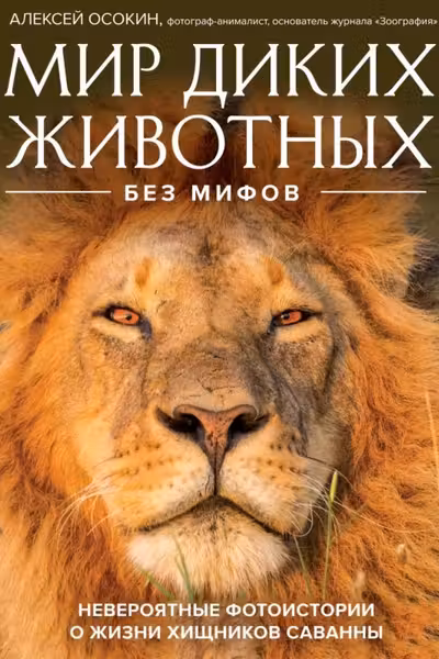 Мир диких животных без мифов. Невероятные фото-истории о жизни хищников саванны