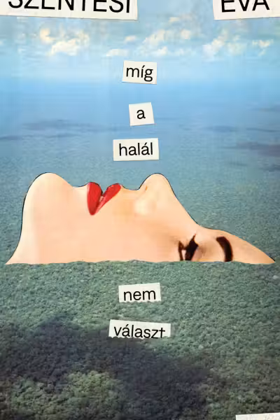 Mig a halal nem valaszt
