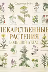 Лекарственные растения. Большой атлас