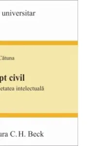 Drept civil. Proprietatea intelectuala