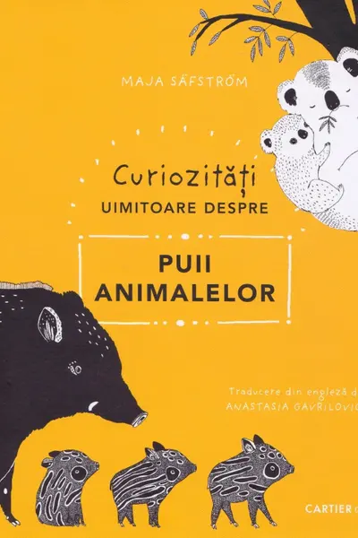 Curiozitati uimitoare despre puii animalelor
