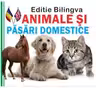 Animale si pasari domestice