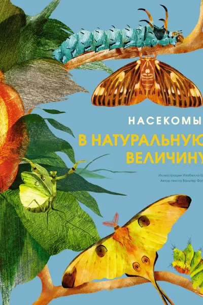 Насекомые в натуральную величину