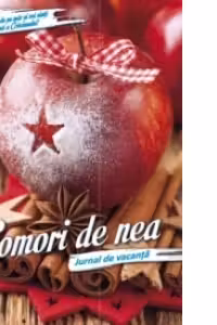 Comori de nea - Jurnal de vacanta