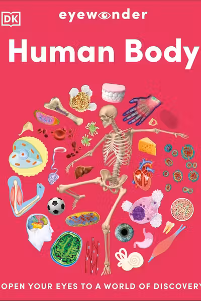 Eyewonder Human Body