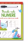Primele mele numere. Scrie sterge