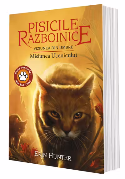 Pisicile Razboinice. vol 31 Viziunea din umbre: Misiunea Ucenicului