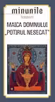 Minunile Icoanei. Maica Domnului. Potirul Nesecat