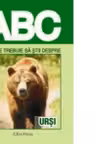 ABC - Tot ce trebuie sa stii despre URSI