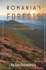 Romania's Forests: Europe's "Yellowstone"