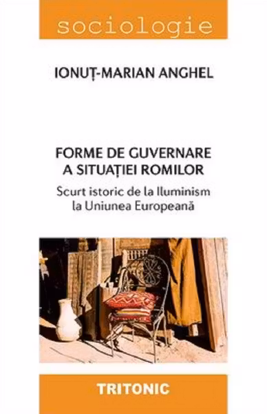Forme de guvernare a situatiei romilor