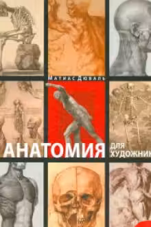 Анатомия для художников