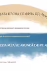 Poezia mea se arunca de pe pod