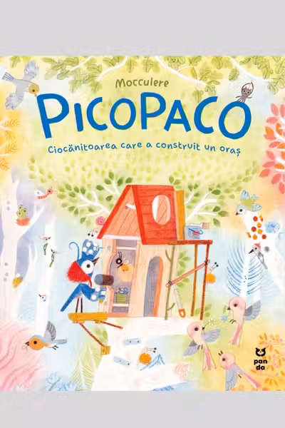 Picopaco