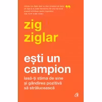 Ebook Ești un campion