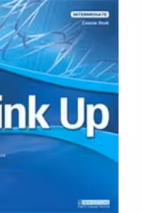 Link Up Intermediate Workbook