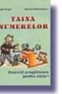 Taina numerelor. Exercitii pregatitoare (Gradinita)