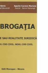 Subrogatia - Fictiune sau realitate juridica. Vechiul Cod civil. Noul Cod civil