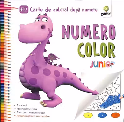 NumeroColor - Junior